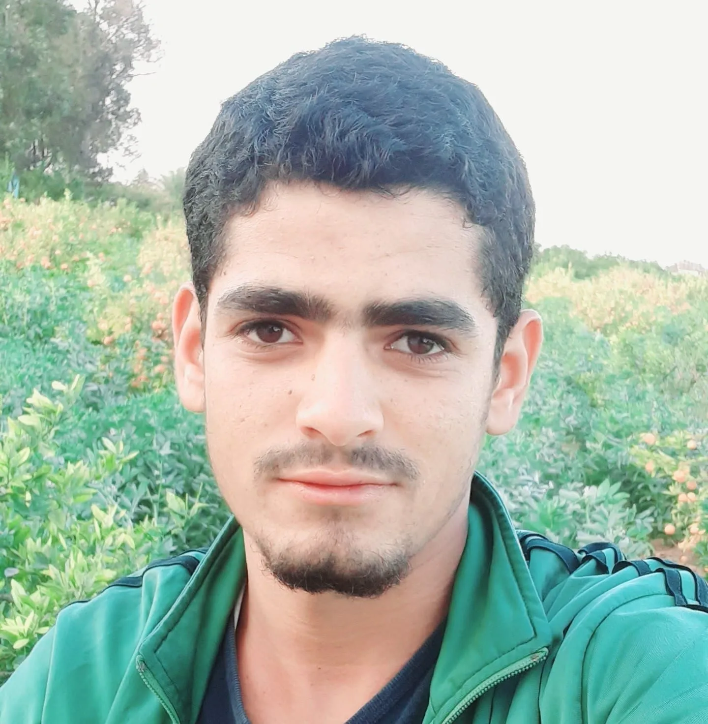 كريم